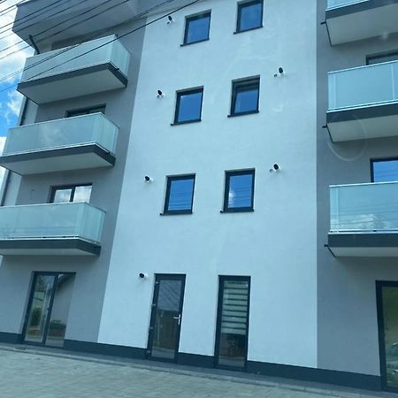 Luxury King Apartment Campulung Moldovenesc Exterior photo